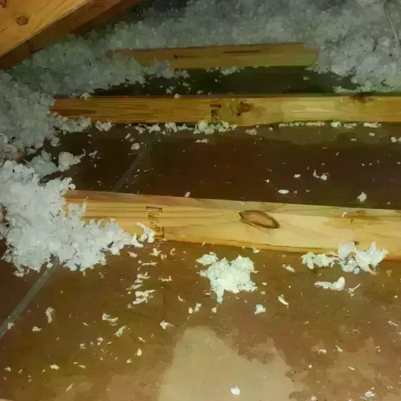 Attic Water Damage in Rafter J Ranch, WY