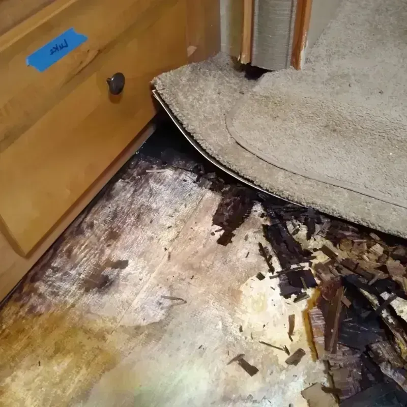 Best Wood Floor Water Damage Service in Rafter J Ranch, WY